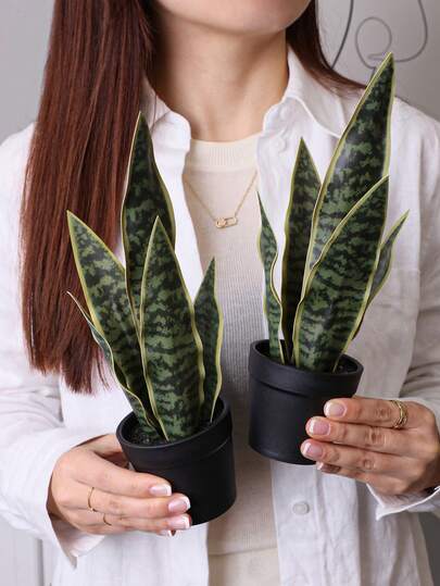 1/2盆人造热带虎尾兰，PE材质，金边虎尾兰盆栽，北欧风、极简风，适用于户外聚会、活动、节日、生日、婚礼派对装饰，也可用于玄关、餐厅、客厅、卧室、花园装饰，以及复活节、春夏季装饰。
