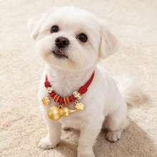 1pc Adjustable Nylon Braided Red Rope Pet Collar, Comes With Elegant Gift Box Packaging With Golden Jewelry, Suitable For Small To Medium Dogs And Cats - Multicolor - View 4