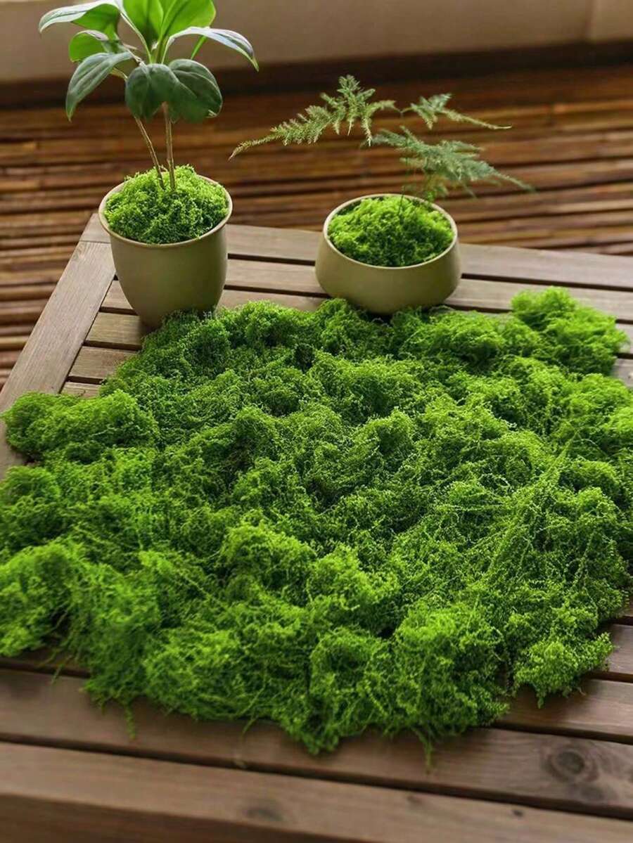 1片逼真仿真苔藓,适用于DIY工艺品和家居装饰 - 栩栩如生的绿色植物草,DIY仿真苔藓微景观布局,逼真的仿真绿植 - 套装,防褪色仿真苔藓装饰,适用于室内盆栽植物、仿真苔藓工艺品、DIY仿真苔藓装饰,适用于微景观和婚礼装饰 - 彩色 - 查看 1