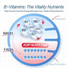 Move Free Joint Support Formula For Men – 7-In-1 Glucosamine & Chondroitin Blend With Calcium And B-Vitamins – Daily Dietary Supplement Tablets, 120 Count (Pack Of 2) - 1 chai - Xem 5