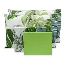 FOLHAS VERDE / PISTACHE