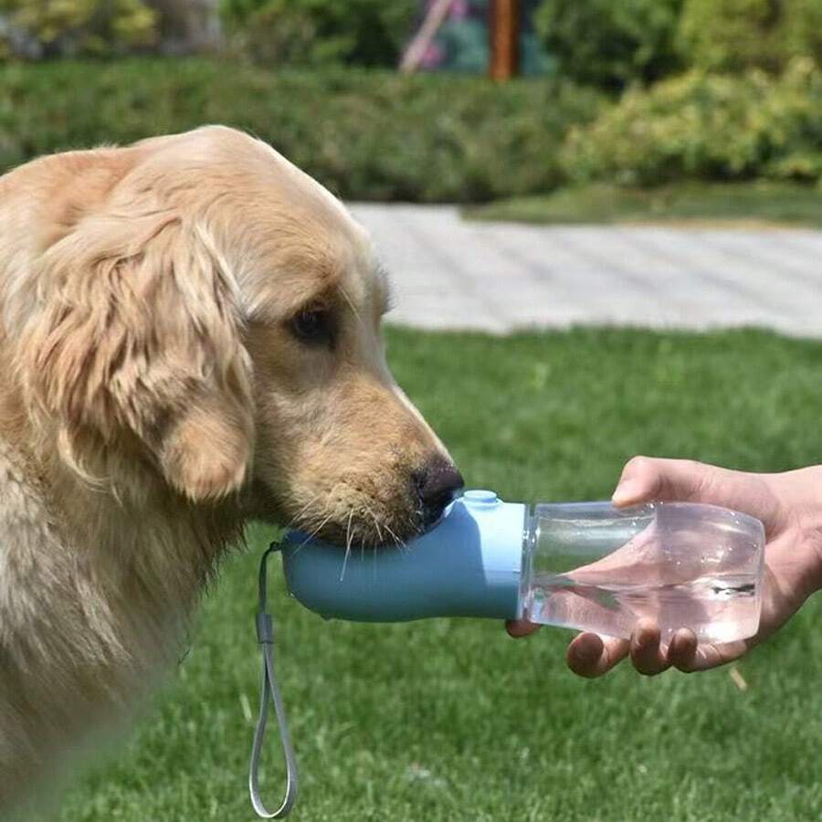 1 Pet Outdoor Water Bottle, 350ml/500ml, Portable Dog Water Bottle, Travel Water Bottle, Suitable For Dogs & Cats, Fits Small To Large Breeds, Must-Have For Pet Outdoor Hiking, Stylish Dog & Cat Accessory, Outdoor Travel Water Dispenser, Portable Pet Water Feeder, Easy To Carry For Travel - 淺藍色 - 查看 1