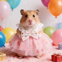 1 件可爱仓鼠毛绒玩具衣服时尚连衣裙裙子，适合小型宠物户外穿着。 - 彩色 - 查看 7