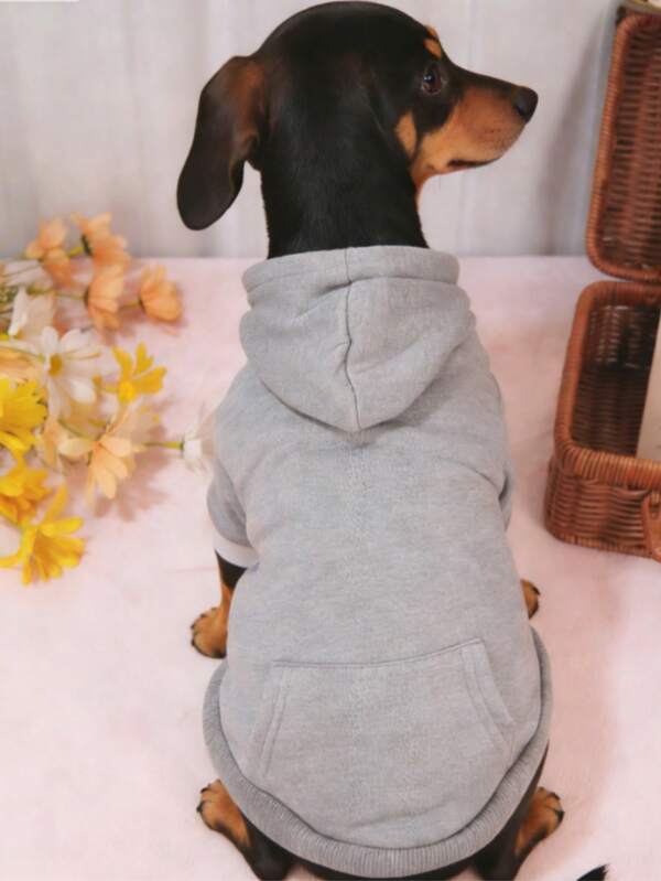 1件2026新款纯色腊肠犬宠物卫衣，保暖宠物服装，多巴胺色基础款连帽卫衣，适合猫狗，新年款