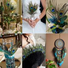 70pcs/50pcs Bulk Artificial Peacock Feathers, Suitable For Vases, Crafts, Weddings, Home Parties, Christmas Decorations, Etc. - Multicolor - View 5