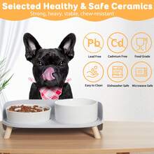 Ceramic Raised Slow Feeder Bowl Set - Small/Medium Dog Elevated Food & Water Bowls With Stand - Helps Reduce Gulping, Non-Slip, Splash-Proof, Microwave , Easy To Clean - 850ml + 290g - View 4