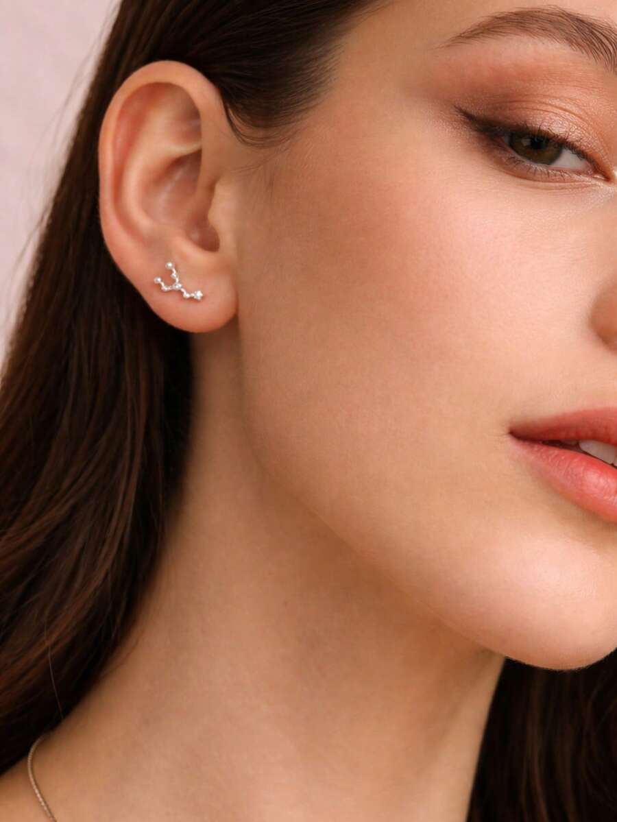 1 par de pendientes de plata de ley 925 con los 12 signos del zodíaco, regalo de cumpleaños para mujeres y niñas - Pendientes del zodiaco - Ver 1