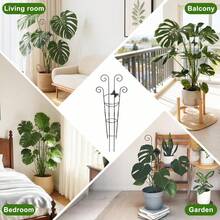 Taller Trellis For Climbing Plants Indoor Expandable Garden Metal Trellis For Potted Plants Climber Support Stakes - Black - View 4