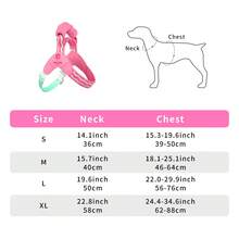 (Dành cho chó nhỏ) Bộ dây đeo ngực và dây dắt cho thú cưng, dây dắt có tay cầm đệm giúp tránh kéo giật, bộ 2 món. - Nhiều màu - Xem 5