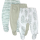Salvia de hoja gigante