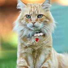 2pcs Adjustable Faux Pearl Cat/Dog Necklace, Elegant Luxury Pet Collar, Durable & Sturdy, Heart Pendant - Multicolor - View 4