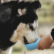 1 Pet Outdoor Water Bottle, 350ml/500ml, Portable Dog Water Bottle, Travel Water Bottle, Suitable For Dogs & Cats, Fits Small To Large Breeds, Must-Have For Pet Outdoor Hiking, Stylish Dog & Cat Accessory, Outdoor Travel Water Dispenser, Portable Pet Water Feeder, Easy To Carry For Travel - 淺藍色 - 查看 5