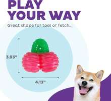 Outward Hound Gummiez Cherries Dog Toy &Amp; Treat Stuffer, 4\U2033 X 4\U2033 Cherry-Scent Interactive Chew For Dogs, Promote Healthy Teeth, Gums &Amp; Mental Enrichment, Reduce Boredom &Amp; Support Dental Health - MàuB - Xem 4