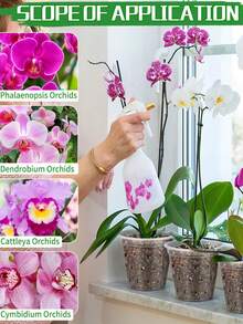 1个透明育苗盆，带排水孔和透气孔，透明兰花种植盆，柔韧塑料育苗盆，花园花盆，种子萌发盆 - A - 查看 2