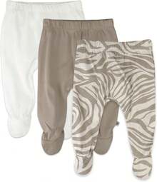 Zanzíbar Zebra