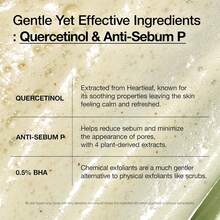 Anua Heartleaf Quercetinol Pore Deep Cleansing Foam 150ml, Minimize Pores, Face Wash For Pore Refining Cleanser, Exfoliation, Hydrating Daily Facial Cleanser For Double Cleansing, Gentle Foaming With BHA, Korean Skin Care, Korean Face Wash, Best Selling Face Wash, Reduce Impurities, Moisture Face Wash, Kbeauty, K-Beauty, Girlfriend Boyfriend Friend Wife Husband Birthday Gift, Summer Essential, Must Have Face Cleaning - 深層清潔 - 查看 4