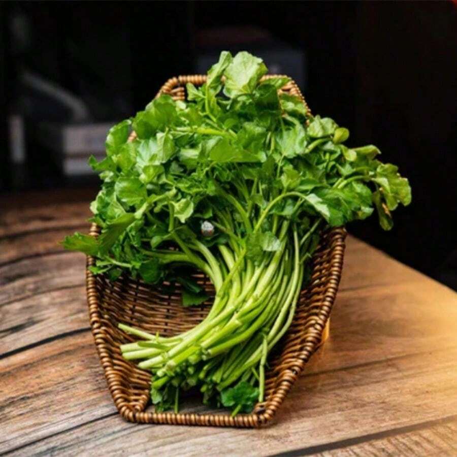 5000S.Eeds Watercress Perennial Watercress Nutritious Vegetable Four Seasons Potted - 5000 piezas - Ver 1