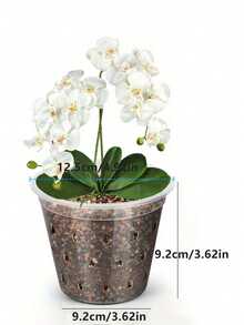 1个透明育苗盆，带排水孔和透气孔，透明兰花种植盆，柔韧塑料育苗盆，花园花盆，种子萌发盆 - A - 查看 5