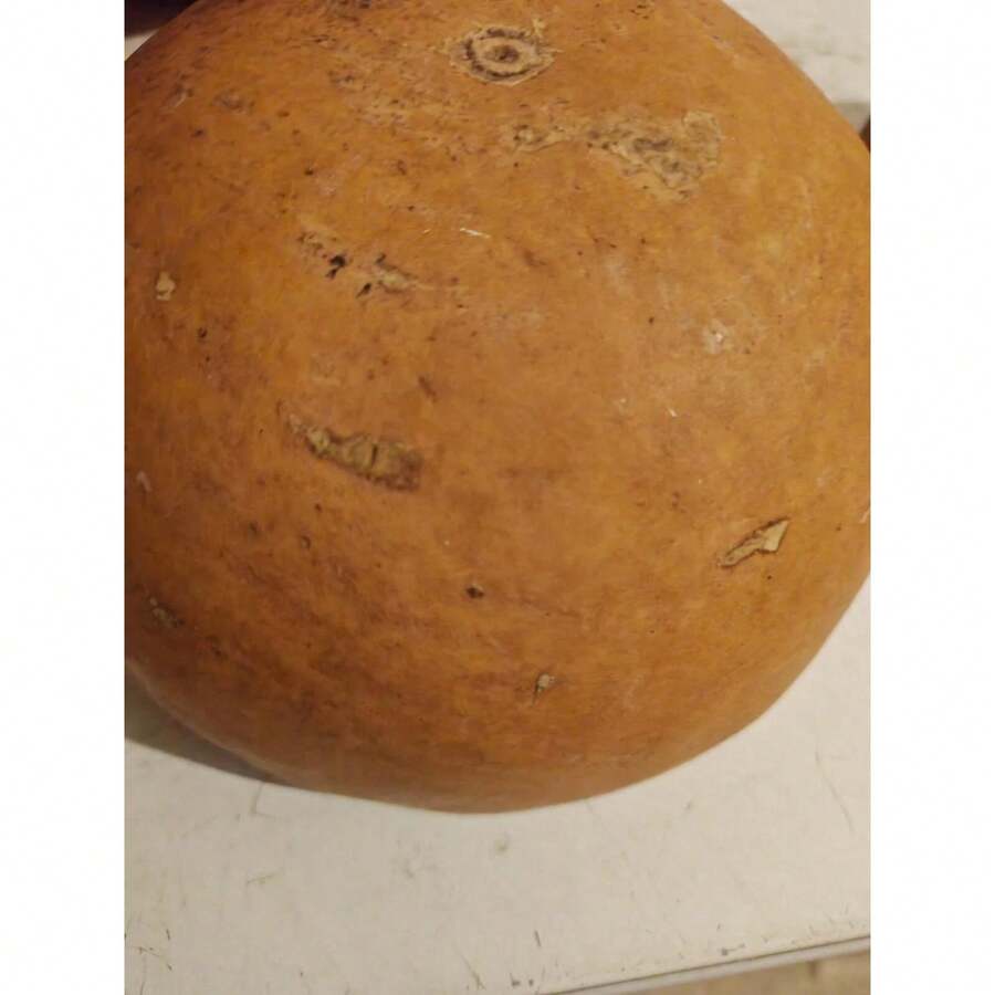 ORGINAL AFRICA HAND-CARVED CALABASH SERVING BOWL + LID GOURD (IGBA) LARGE 2PCS - Multicolor - View 1