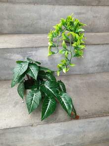 双色常春藤植物，常春藤和发财树叶子悬挂盆栽植物黄金葛室内装饰，情人节，生日毕业礼物，花园装饰，户外植物，园艺，假花 - 綠色 - 查看 3