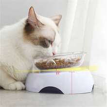 15° Tilted Transparent Plastic Cat Bowl, Cute Round Bottom Slanted Rim Single Pet Feeding Bowl - White - View 2