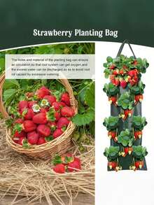 1/2pcs Wall Mounted Strawberry Grow Bags Hanging Flower Planting Bag Outdoor Planting Bag Multi Hole Strawberry Planting Bags For Balcony And Garden Breathable Water Permeable Reusable Suitable For Home Use With Multiple Pockets For Fruit Cultivation - Outdoor Planting Bags - View 9