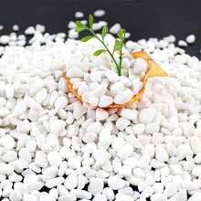 白色鹅卵石装饰填充物，适用于多肉植物盆栽、仙人掌盆栽、玻璃容器植物箱、鱼缸、迷你花园、室内外装饰。 - 小石子 - 查看 53