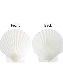 5/10/20pcs Natural Scallop Shell Crafts, 3 Inch White Seashell Home Decor, Seashell Decor For DIY Painting, Baking, Beach, Wedding - Multicolor - View 3