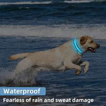 Rechargeable Waterproof LED Glowing Dog Collar - Night Walking Safety Luminous Pet Accessory - Best USB Charging Glow Collar - Multicolor - View 9