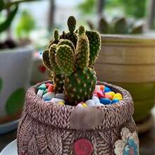 白色鹅卵石装饰填充物，适用于多肉植物盆栽、仙人掌盆栽、玻璃容器植物箱、鱼缸、迷你花园、室内外装饰。 - 小石子 - 查看 7