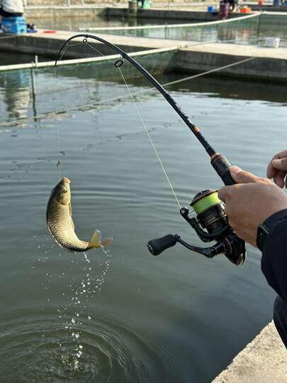 150 metros de hilo de nailon dorado en carrete, de 0,10 mm a 0,40 mm, línea de pesca principal, una opción para regalos del Día de San Valentín y Navidad, paquete individual