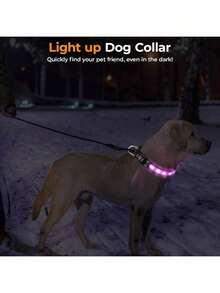 Rechargeable Waterproof LED Glowing Dog Collar - Night Walking Safety Luminous Pet Accessory - Best USB Charging Glow Collar - Multicolor - View 8