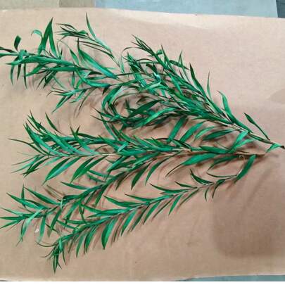 23/50pcs Assorted Dried Flowers Set - Cedar Branches, Baby's Breath, Chrysanthemum, Pampas Grass, Suitable For Home Decor, Party, Farm Decoration, DIY Holiday Accessories, Mother's Day, Labor Day, New Year Decoration And More