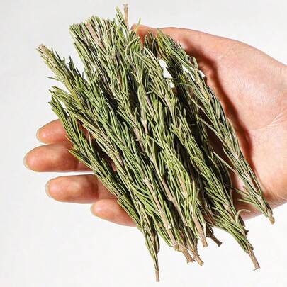 30/300g Natural Rosemary Stems Decorative Accents - Ideal For Indoor Home Decor Centerpieces - DIY Scented Candles, Dried Flowers - Suitable For Birthdays, Holidays, Events, Parties, Dish Decorations, Florals And Plants