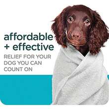 Sergeant's Guardian Flea & Tick Dog Shampoo, Clean Cotton Scent, 18 Oz. - / - View 3