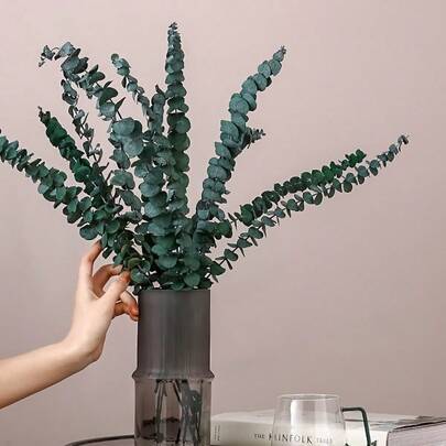 10pcs 17-Inch Fresh Eucalyptus Branches, Suitable For Shower, Vase Filler, Greenery, Dried Flower Decor, Home Floral Decoration