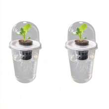 Maceta hidropónica - Juego de macetas cilíndricas transparentes con orificios de ventilación, diseño de alta transparencia para una fácil observación de las raíces, adecuado para hidroponía, se puede usar como decoración de oficina, hogar o jardín - Multicolor - Ver 8