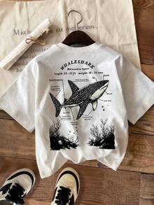 女士舒适加大码鲸鲨图案印花常规袖圆领短袖T恤 休闲白色 - 白色 - 查看 3