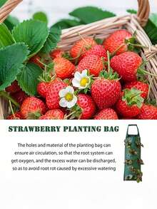 1/2pcs Wall Mounted Strawberry Grow Bags Hanging Flower Planting Bag Outdoor Planting Bag Multi Hole Strawberry Planting Bags For Balcony And Garden Breathable Water Permeable Reusable Suitable For Home Use With Multiple Pockets For Fruit Cultivation - Outdoor Planting Bags - View 4