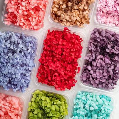 1盒彩色永生绣球花、永生安娜球、DIY花艺材料、永生花娃娃玻璃罩制作材料、树脂压花花瓶、团队建设花艺工作坊、花束制作材料