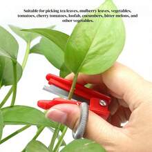 10把/5把/2把带指环的采摘刀，小型蔬菜切割工具，适用于采摘豆类、葡萄、水果、蔬菜，以及修剪花园植物和鲜花。 - A - 查看 7