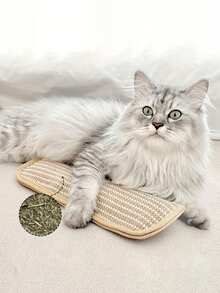 1件装互动猫玩具枕头和猫抓垫，让猫咪独立玩耍和互动，时尚有趣的猫咪配件 - 彩色 - 查看 2