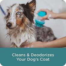 Sergeant's Guardian Flea & Tick Dog Shampoo, Clean Cotton Scent, 18 Oz. - / - View 4