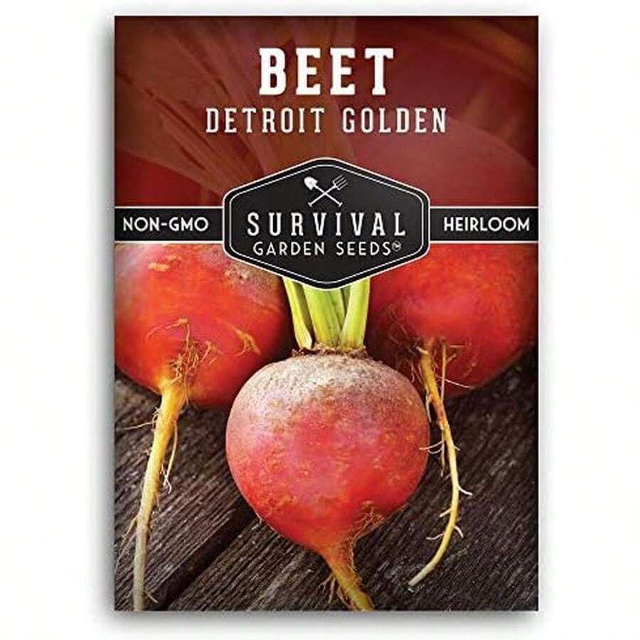 Detroit Golden Beet Seeds For Planting - Sweet Yellow Beets For Garden Growing, High Yield Heirloom Variety, Non-GMO Open Pollinated - Survival Garden Seeds (1 Pack) - 1 - 查看 1