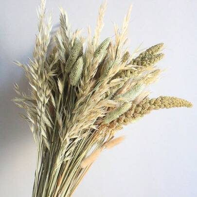 30/50/60/80支天然干花，薰衣草、燕麦、小米穗、珍珠草、鹿草花束，DIY插花，适用于家居装饰、卧室、玄关、办公室、花店、节日礼物、圣诞节、情人节、母亲节、婚礼装饰