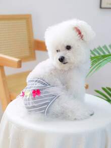 PETCIRCLE 1件宠物狗衣服，室内外皆宜，欧美韩风，适合贵宾犬、泰迪犬、小型犬和幼犬，休闲时尚可爱舒适宠物薄纱蝴蝶结尿布 - 灰白条纹 - 彩色 - 查看 2