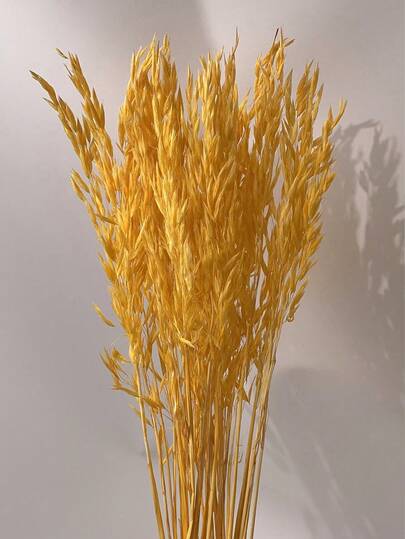 15/30/60 Stems Dried Natural White Oat Flower Bouquet, Real Bleached Oat & Wheat Flower Bunch For Wedding, Christmas Decor, DIY Home Arrangement