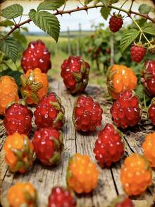 5/10/Piezas/1 paquete Decoraciones colgantes de frambuesa y fresa glaseadas, adecuadas para hacer collares, aretes, pulseras y joyería DIY - 5 piezas de uvas glaseadas - Ver 2