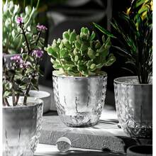 Premium Self-Watering Succulent Planter, Anti-Slip Thick Plastic Large Flower Pot, Suitable For Yard Seeds And Hydroponic Plants - Lazy Person's Flower Pot - View 5