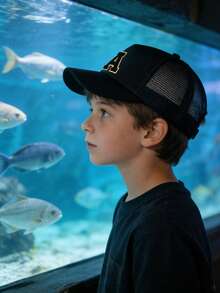 1pc Children's 26 Letter Truck Driver Cap, Fashionable Casual Hat, Suitable For Girls Back To School Daily Wear - Black - View 4